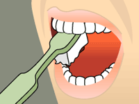 Brushing 3